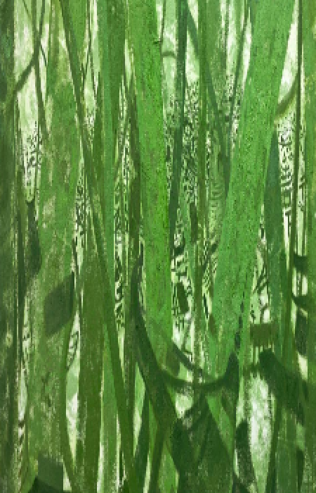 9c9084c294194b268bf078f4a741195a.png